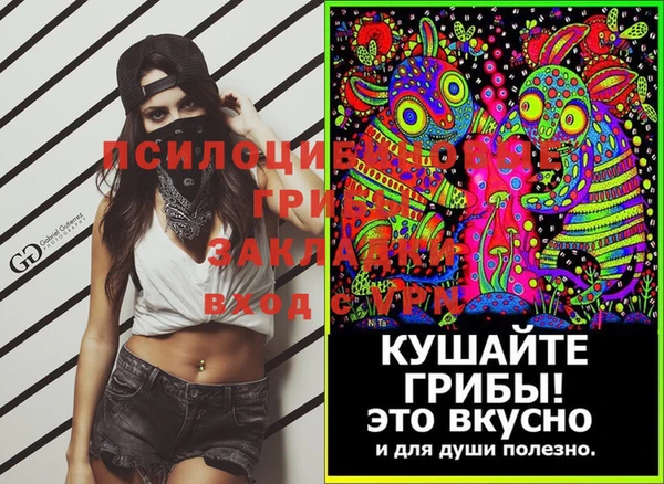 герыч Алексин