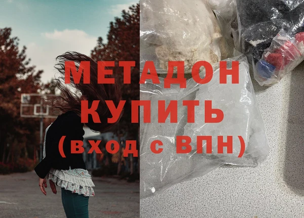 прущие грибы Армянск