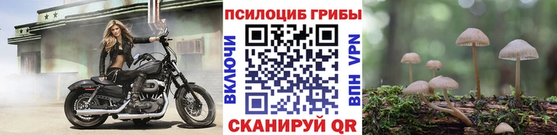 Галлюциногенные грибы мицелий  Аркадак 