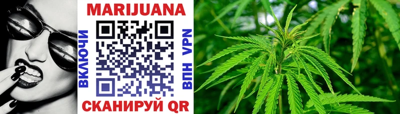 наркота  Аркадак  Каннабис сатива 